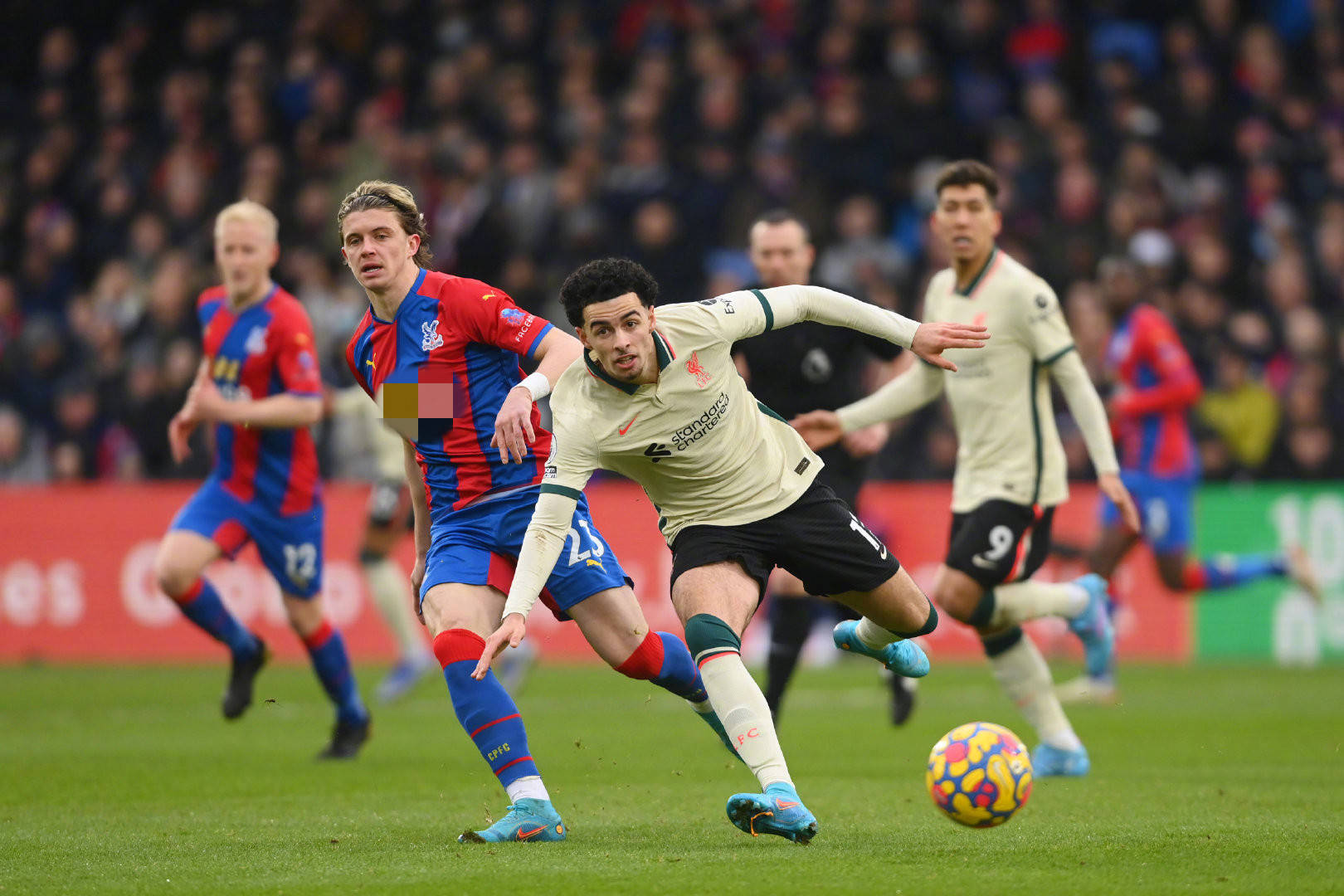 大的乒乓盛 大的乒乓盛