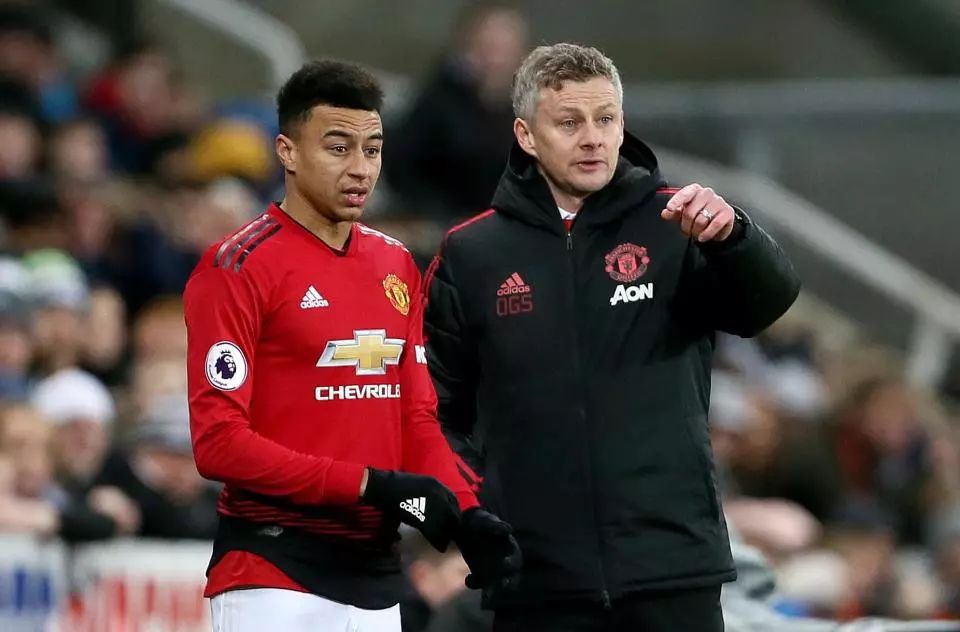 到种类丰富 到种类丰富